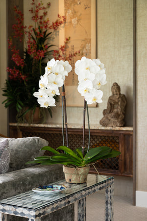 Wholesale Faux Floral Decor with White Pedals in Modern Living Room - New Growth Designs