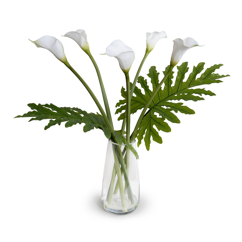 Calla Lily Stems & Philo Leaves in Glass 29