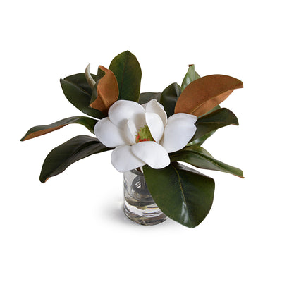 Magnolia Blossom 11"H