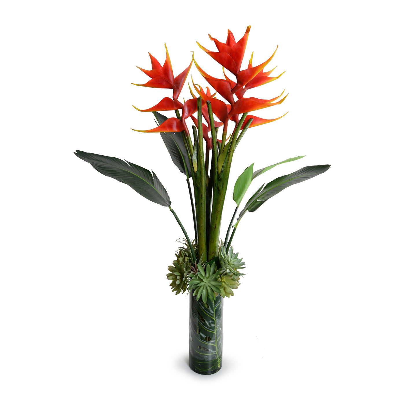 Heliconia "Lobster Claw" & Succulent Tropical Arrangement 56"H