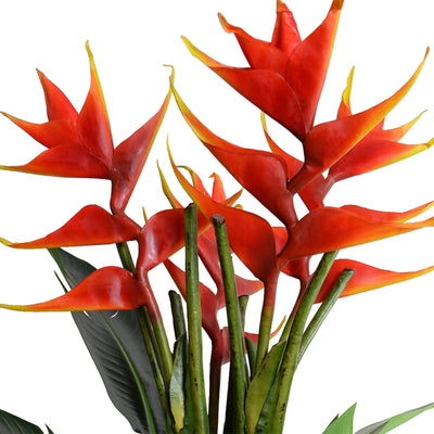 Heliconia "Lobster Claw" & Succulent Tropical Arrangement 56"H