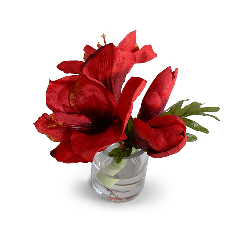 Amaryllis Cutting 9"H New Growth Designs