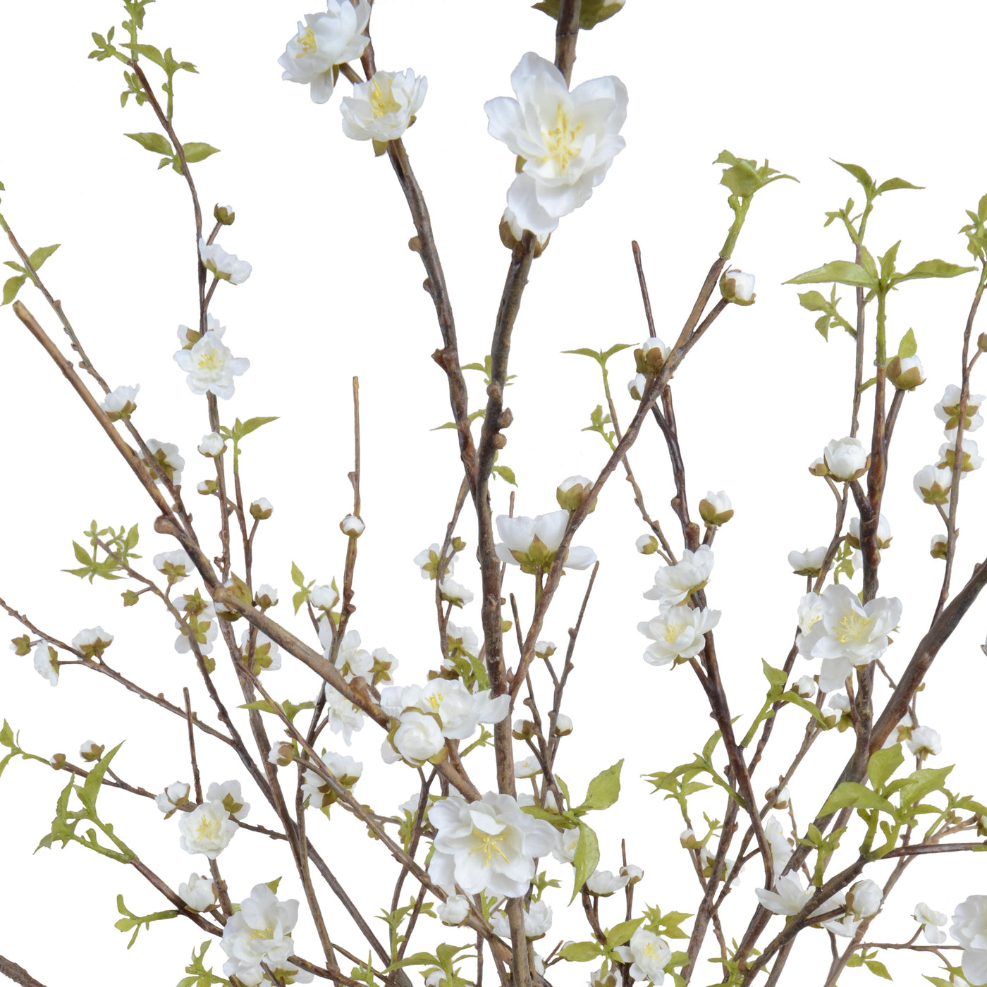 Cherry Blossoms in Glass 42"H