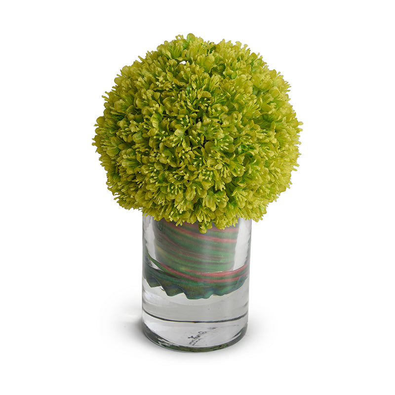 Allium in Vase 9"H