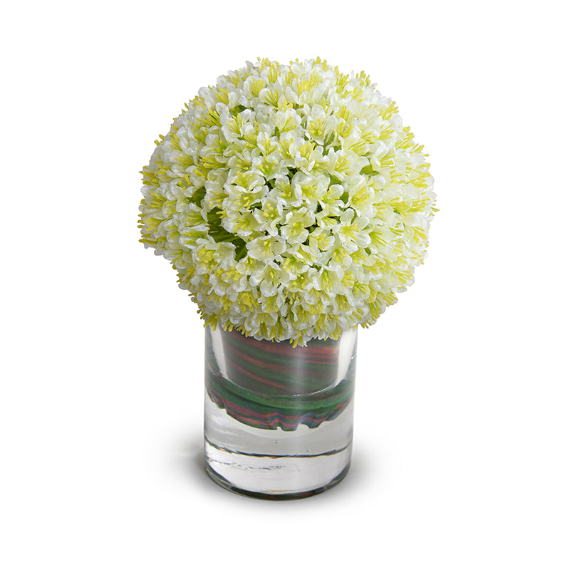 Allium in Vase 9"H