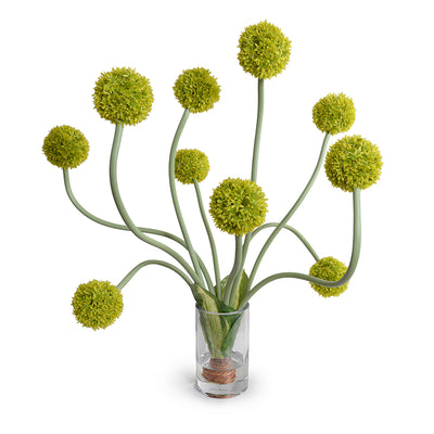 Allium Arrangement in Glass 32"H - Large Flowers