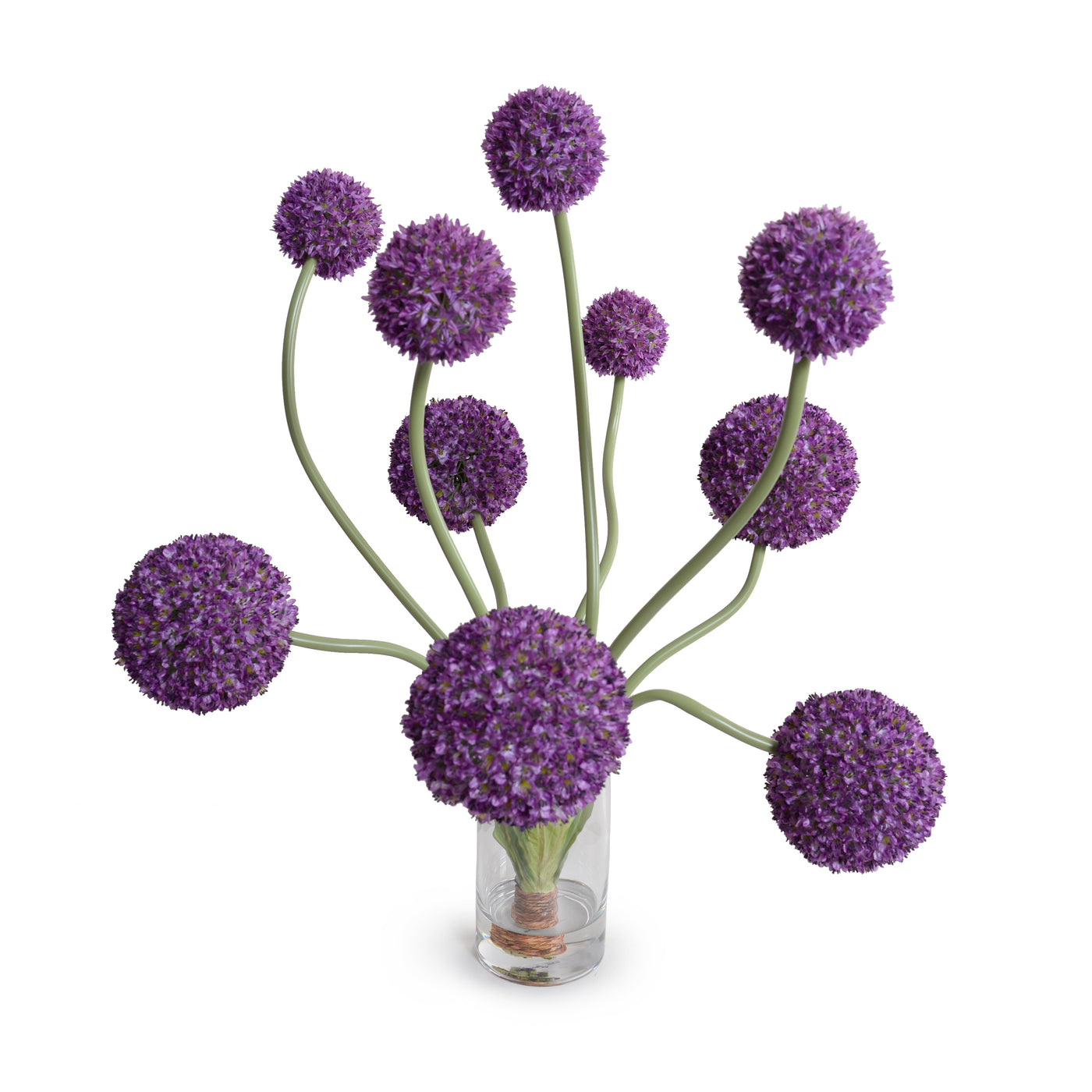 Allium Arrangement in Glass 32"H - Med/Lg Flowers