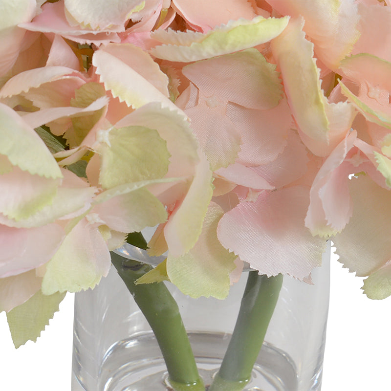 Hydrangea Cutting in Glass - Pink/Green 8"H