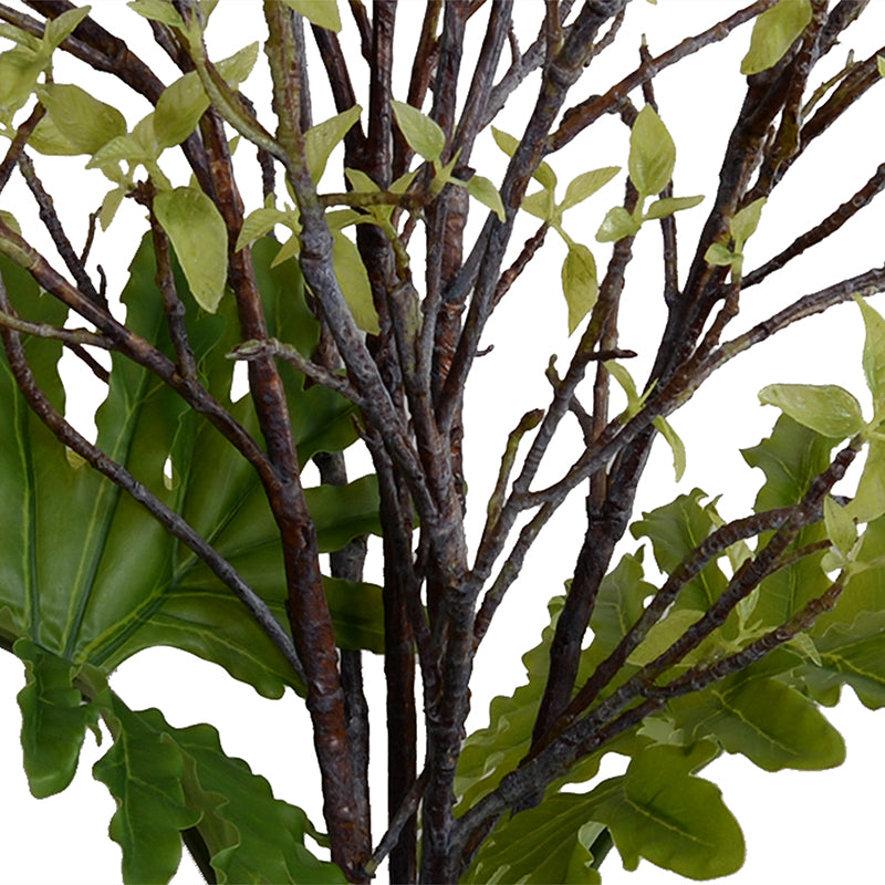 Ficus & Philodendron Selloum Branches in Glass