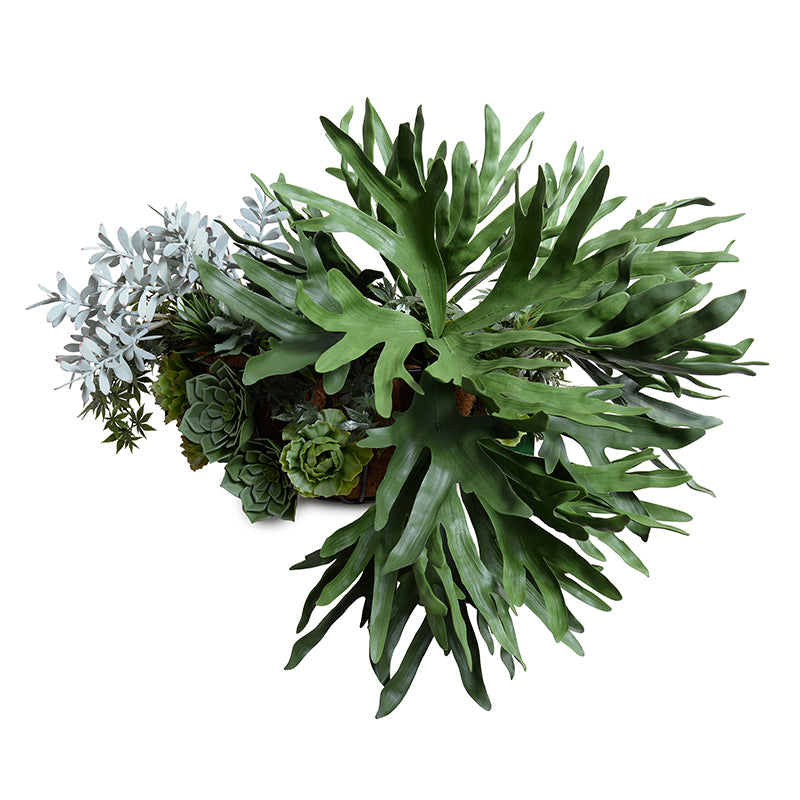 staghorn succulent Staghorn & Succulents Hayrack Planter – New Growth Designs