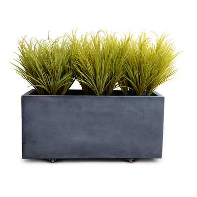 Orchard Grass x3 and 45" Planter