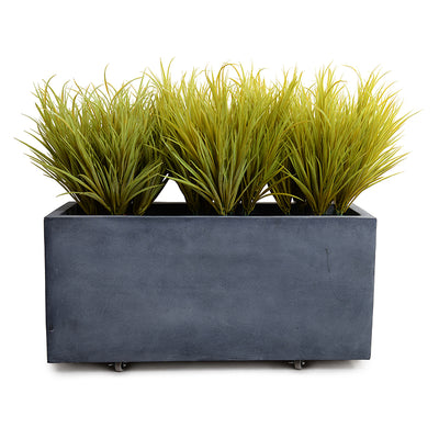 Orchard Grass x3 and 45" Planter