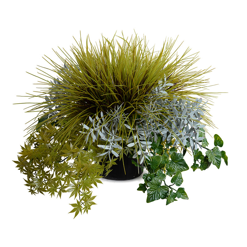 Grasses, Succulents & Ivy Arrangement – New Growth Designs
