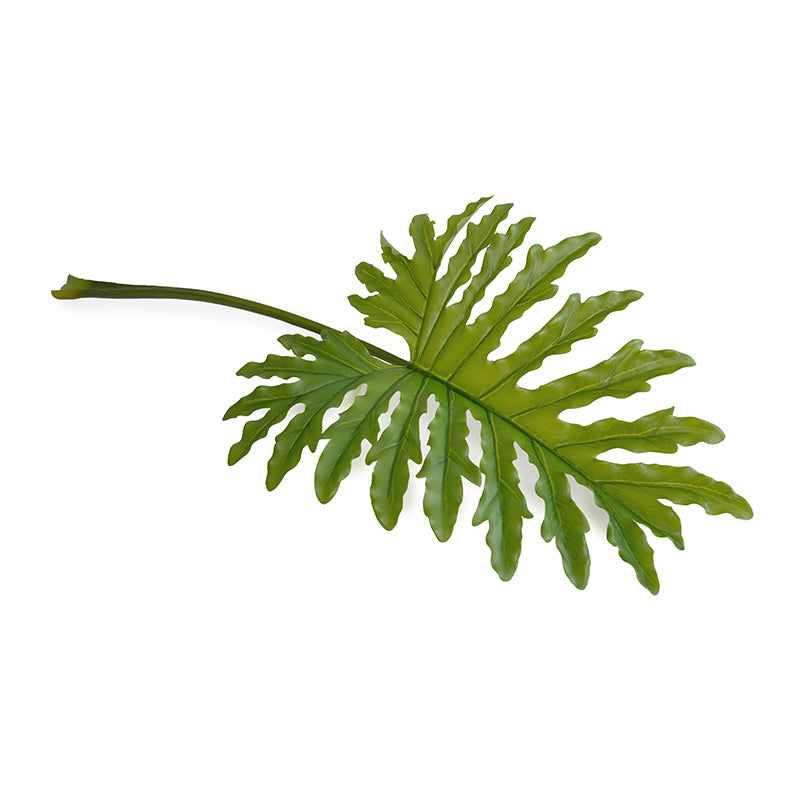 philodendron branching Philodendron Selloum Leaf branch, 36" L – New Growth Designs