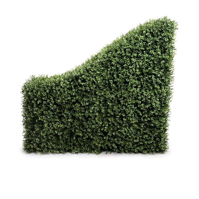 Boxwood Hedge, Transition - New Growth Designs