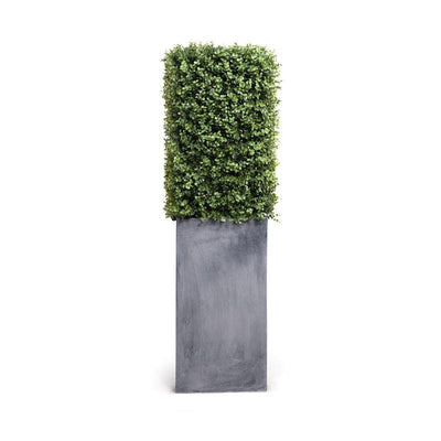Boxwood Column in Pot - New Growth Designs