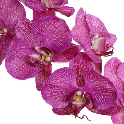 Phalaenopsis Orchid x2 in Mirror Vase 26"H