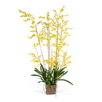Oncidium Orchid 64"H