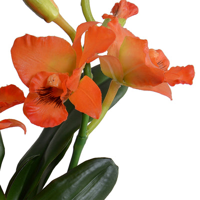 Cattleya Orchid in Black Ceramic 14"H