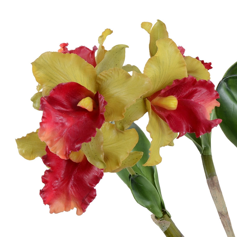 Cattleya Orchid in Terracotta 22"H