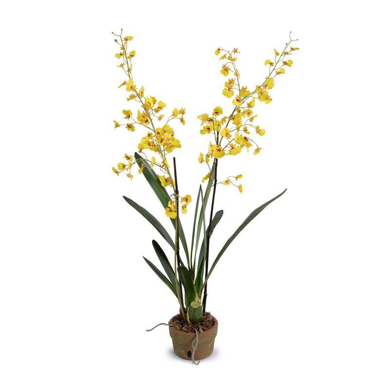 oncidium orchid potting mix Oncidium Orchid 35"H – New Growth Designs