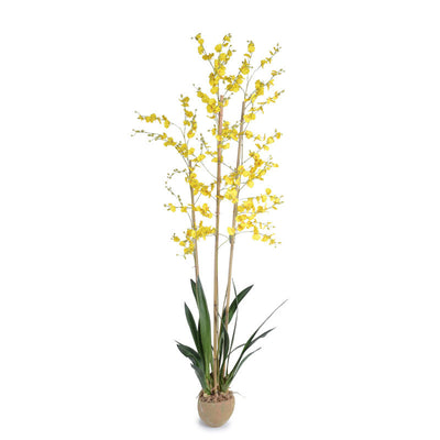 Oncidium Orchid 68"H