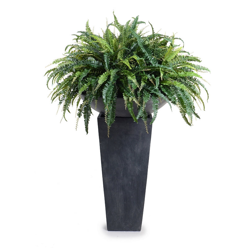 Forest Fern in Bowl 30"H