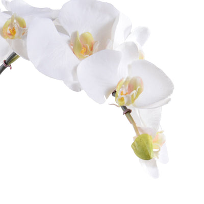 Phalaenopsis Orchid x1 Leaf-It 28"H