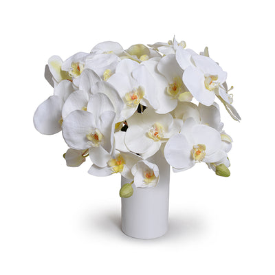 Phalaenopsis Orchids in Ceramic Vase 15"H
