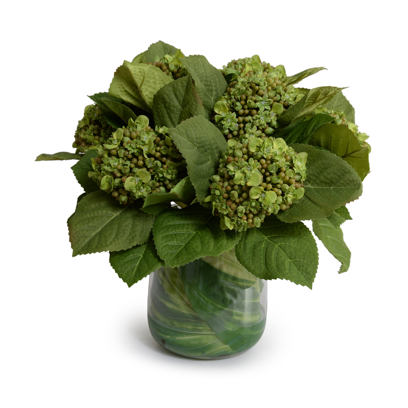 Hydrangea Bud Bouquet in Leaf Lined Glass 12"H