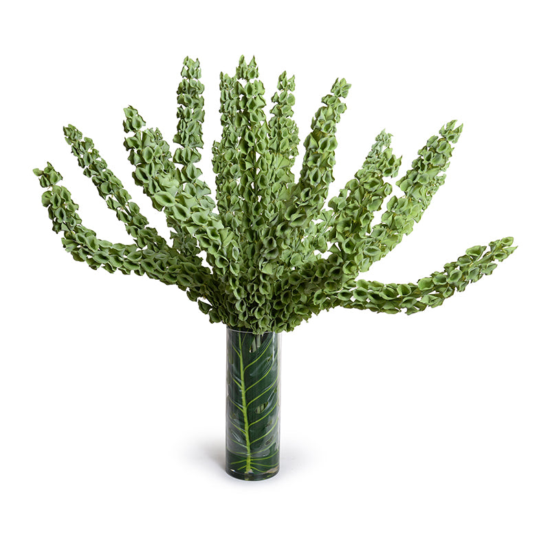 artificial indoor plants ireland Bells of Ireland in Leaf Lined Glass 42"H – New Growth Designs