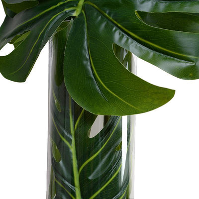 Large Monstera Leaf in Glass Cylinder - New Growth Designs