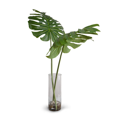 Monstera Branches in Glass Cylinder 44"H
