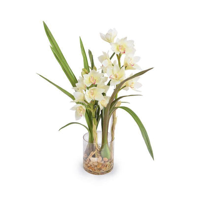 Cymbidium Orchid - New Growth Designs