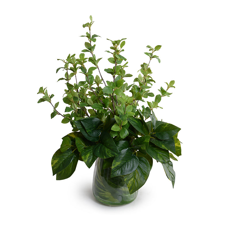 Mixed Greenery in glass vase, 22"H Green New Growth Designs