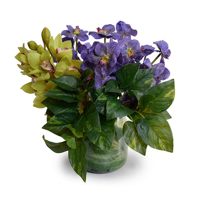 Vanda, Cymbidium Orchids in glass - Purple/Green