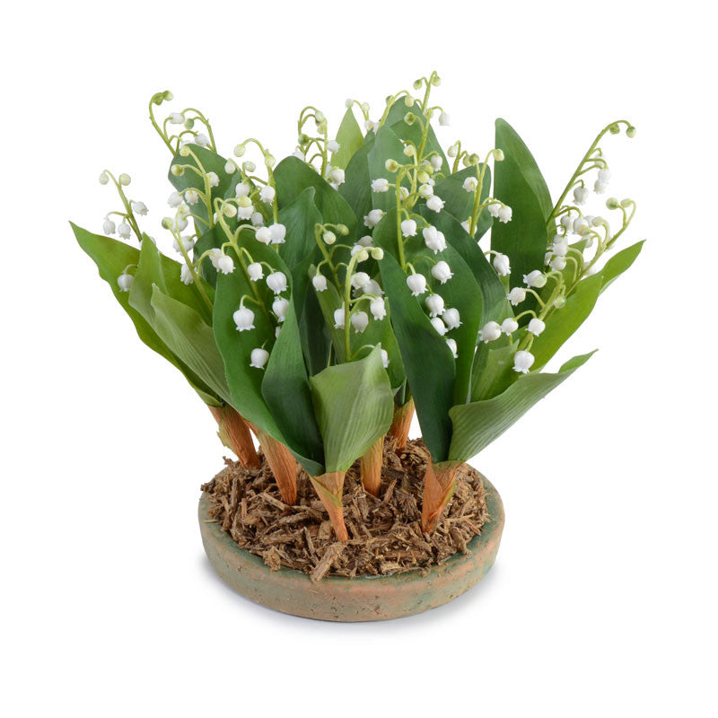 lily of the valley house plant Lily of the Valley Dish 11"H – New Growth Designs