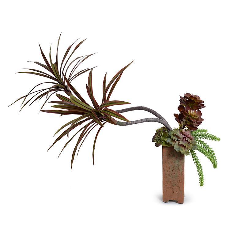 Dracaena Marginata, Succulents in Terracotta Column - New Growth Designs