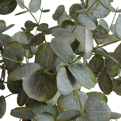 Eucalyptus in Terracotta 33"H