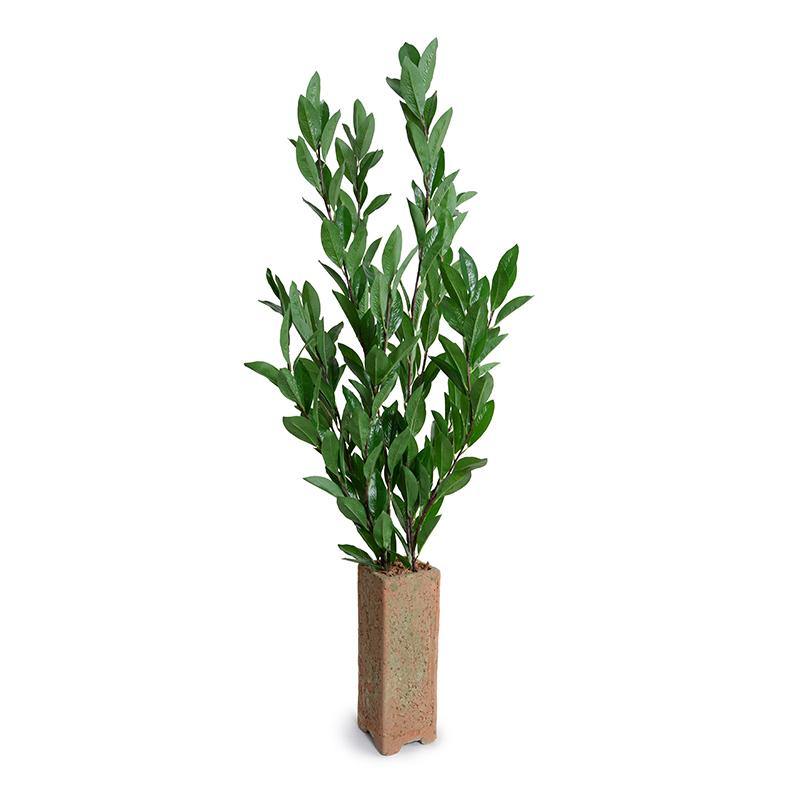 Camellia Leaf Branches in Terracotta, 48"H - New Growth Designs
