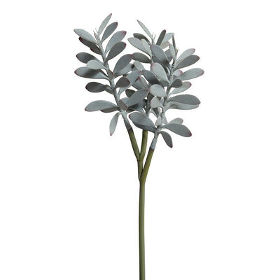 Succulent Pick - Gray - New Growth Designs