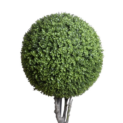22" Boxwood Ball Topiary, 68"H - New Growth Designs