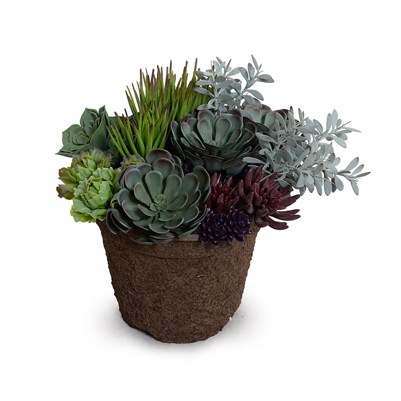 mixed succulent pot Mixed Succulents Arrangement – New Growth Designs