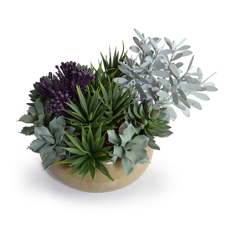 Mixed Enduraleaf Succulents, Tabletop, 12"H  New Growth Designs