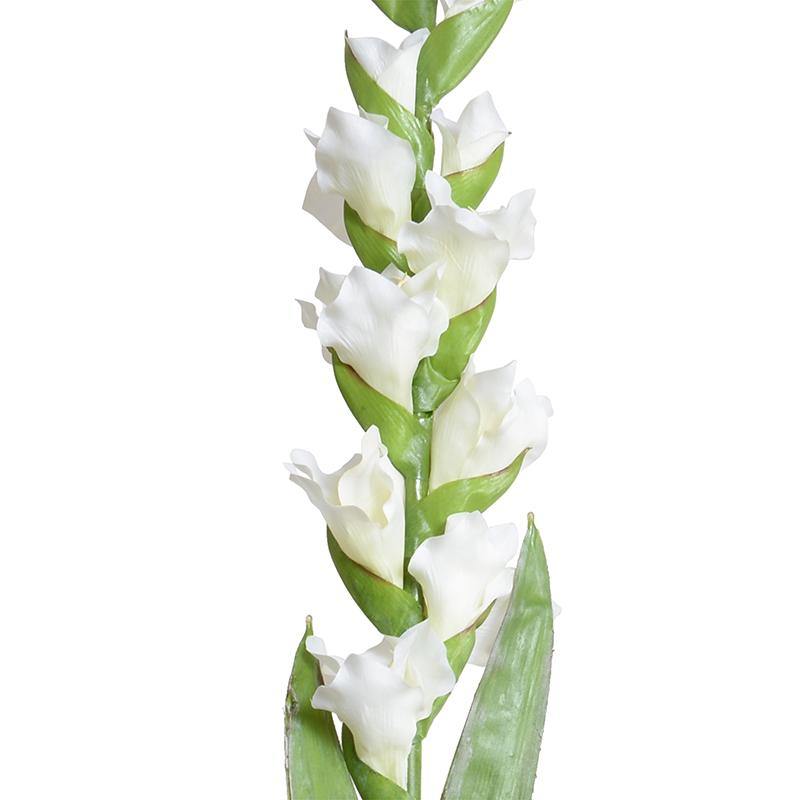Gladiolus Flower Stem, 48" L - White - New Growth Designs