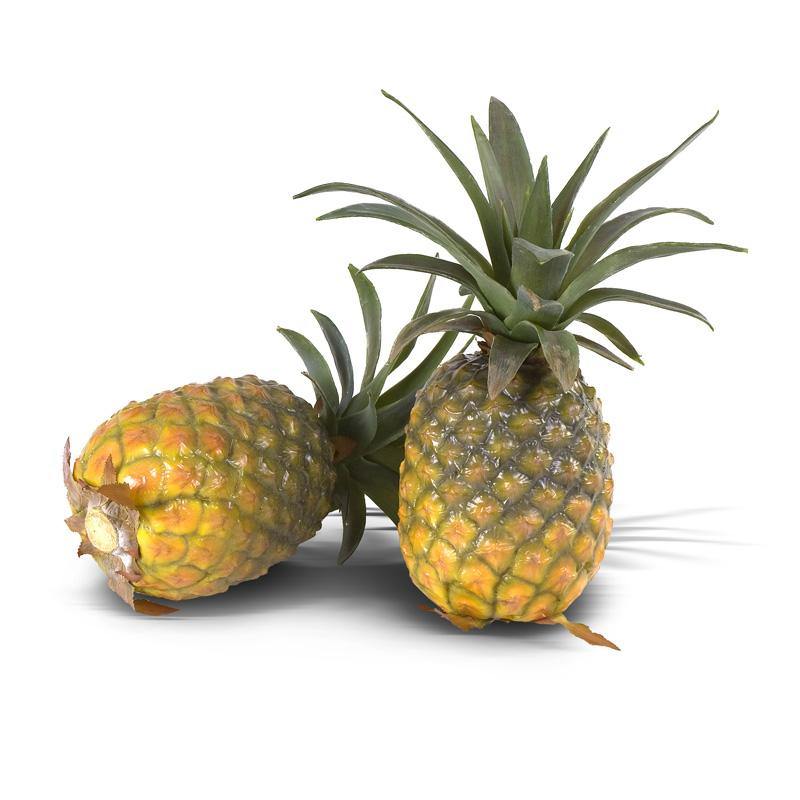 Pineapple (Large) - New Growth Designs