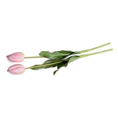 Tulip Stem, French - Pink - New Growth Designs