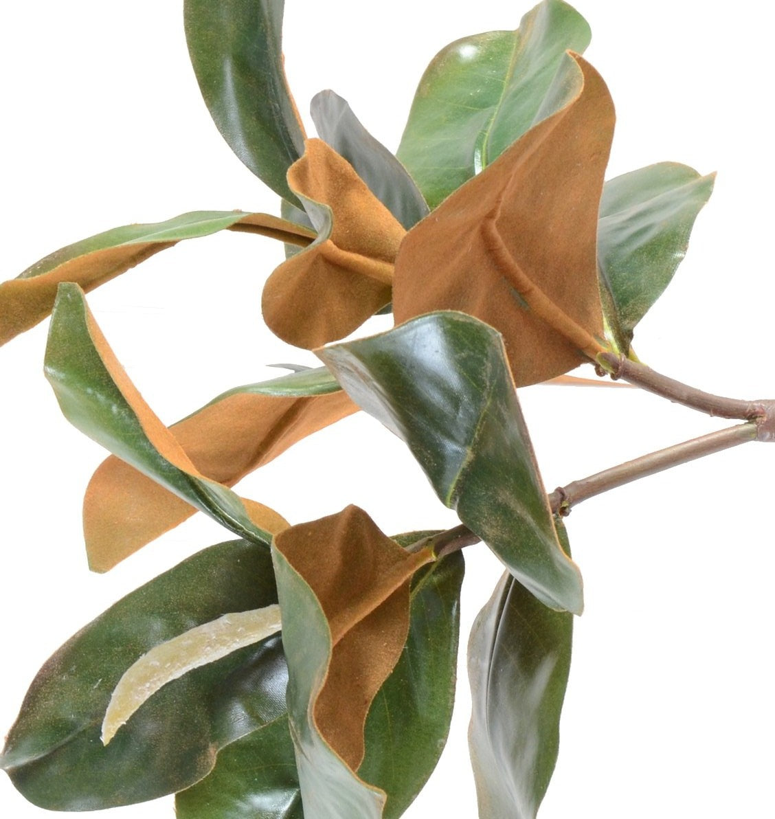 Magnolia Leaf Spray, 22" L