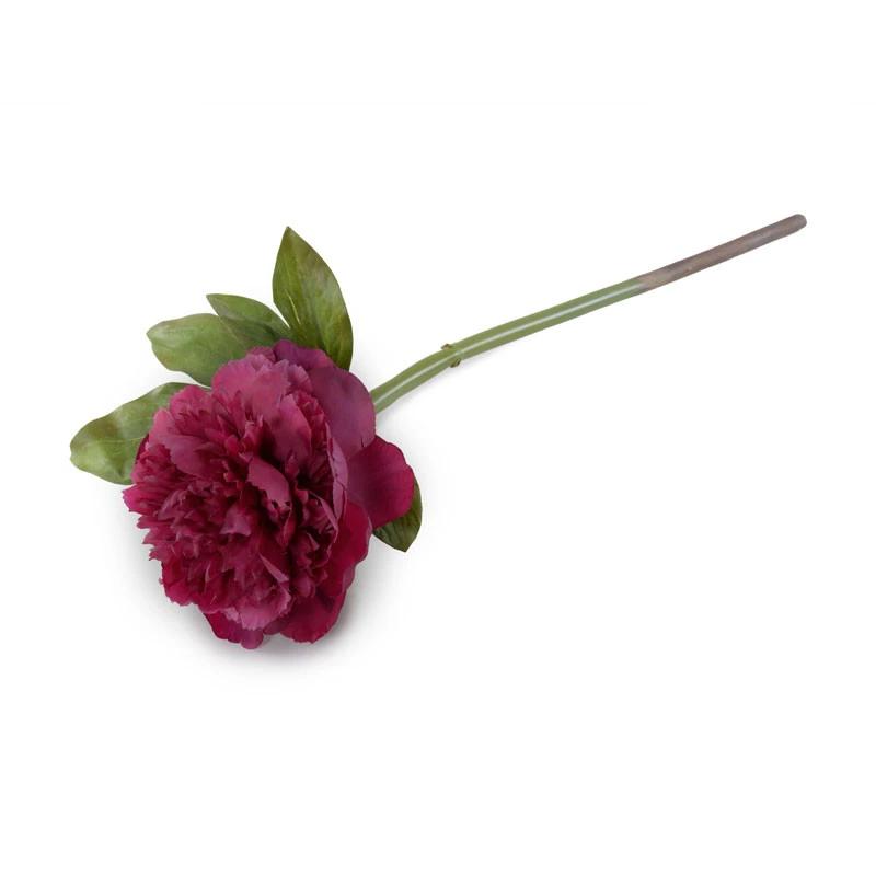 Peony Stem with Leaves, 18" -Beauty