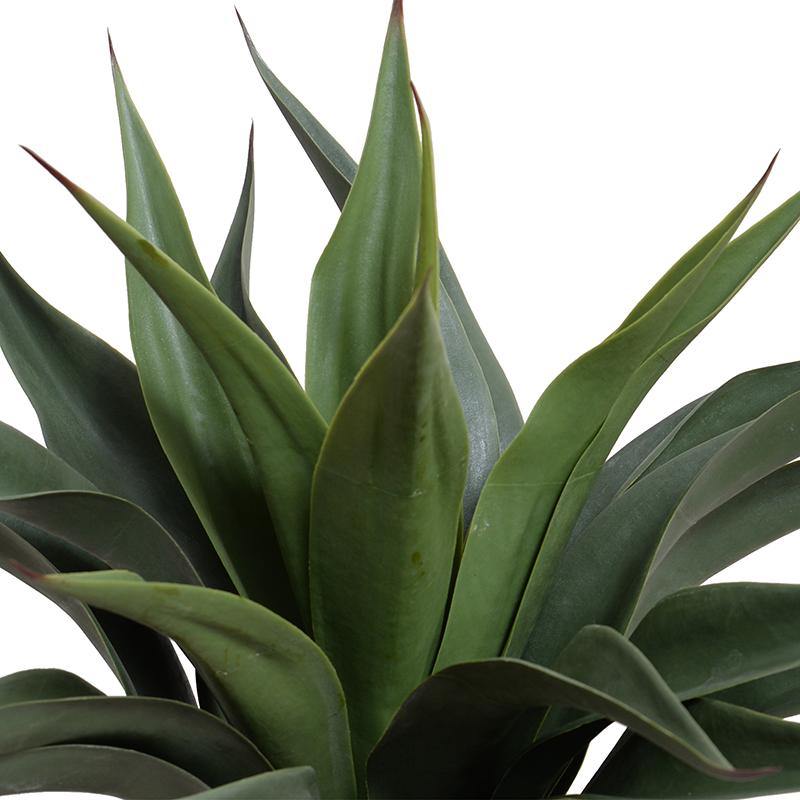 Agave Americana Plant in Short Round Pot, 24"H - New Growth Designs